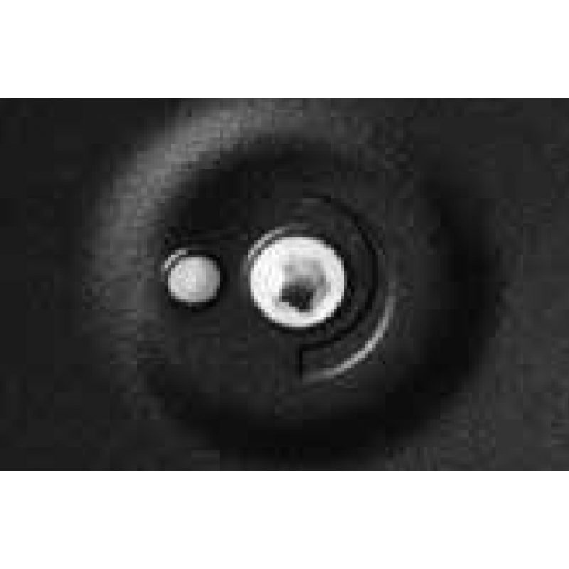 Chain Actuator C40S Sync 230V 50Hz Synchronous Operation Of More Actuators On Same Window Topp