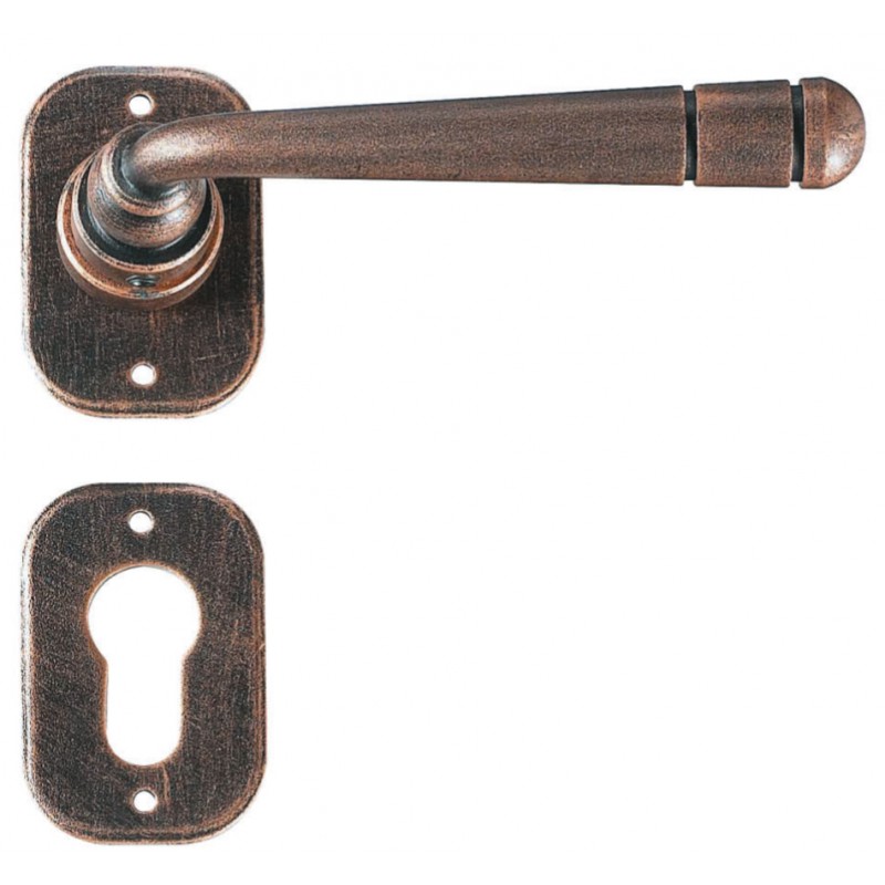 Bern Galbusera Door Handle with Rosette and Escutcheon Plate