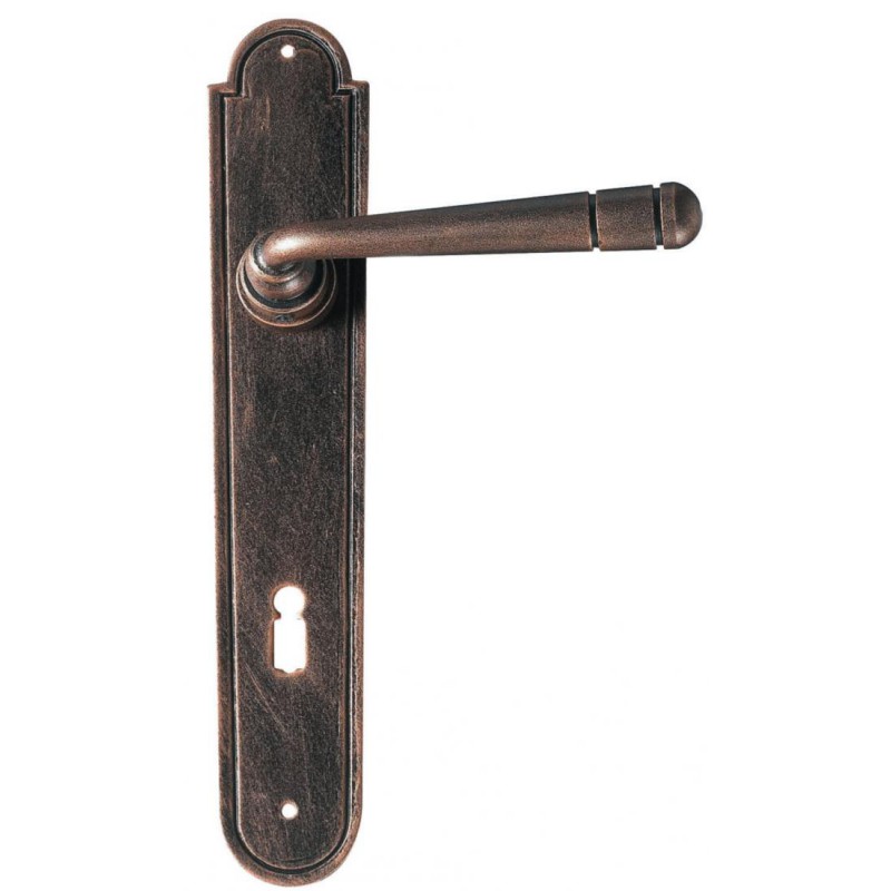 Bern Galbusera Door Handle with Plate