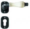 Copenhagen Galbusera Door Handle with Rosette and Escutcheon Plate