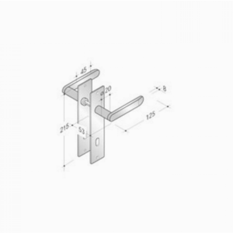 pba 2020/2001 Pair of Handles with Plate in Stainless Steel AISI 316L