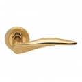 Dalì Manital Door Handle in Polished Brass on Rosette