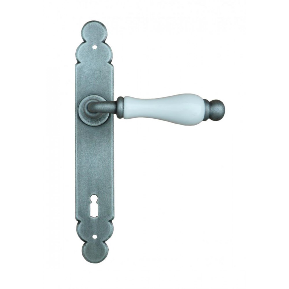 Dublin Galbusera Door Handle with Plate