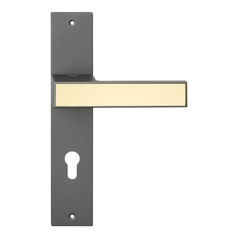 Icon Frosio Bortolo interior handles available in many colors
