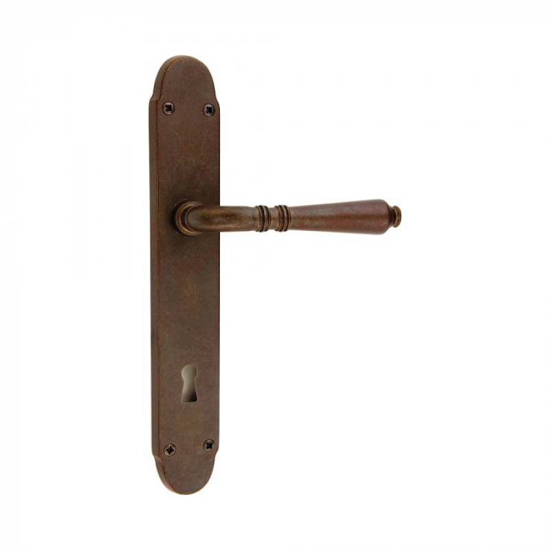 Vintage Door Handle on Plate with Visible Screws Geneva Reguitti
