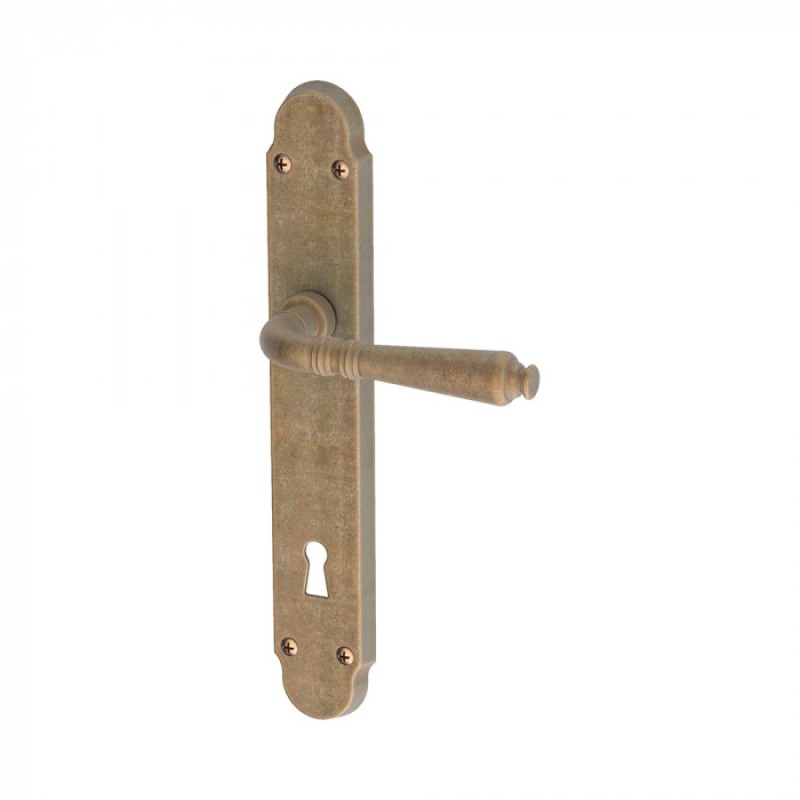Vintage Door Handle on Plate with Visible Screws Geneva Reguitti