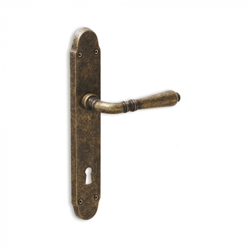 Vintage Door Handle on Plate with Visible Screws Geneva Reguitti