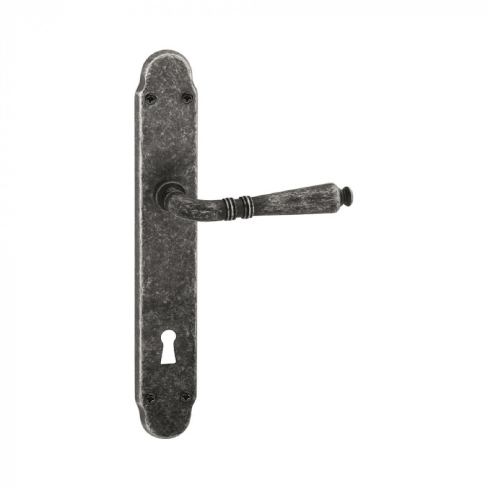 Vintage Door Handle on Plate with Visible Screws Geneva Reguitti