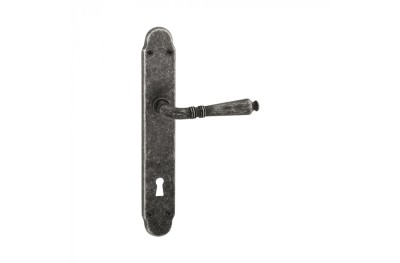 Vintage Door Handle on Plate with Visible Screws Geneva Reguitti
