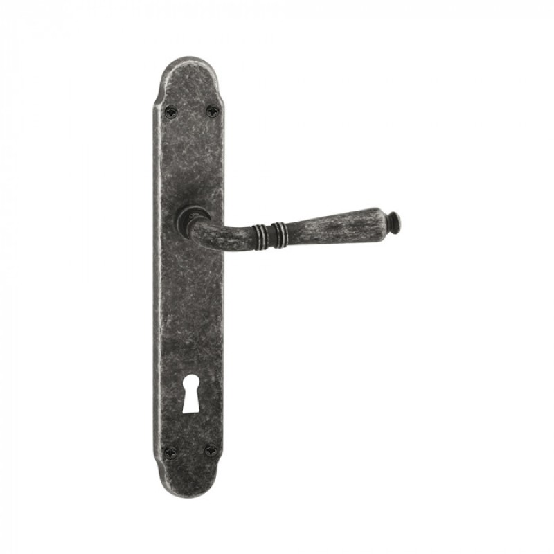 Vintage Door Handle on Plate with Visible Screws Geneva Reguitti