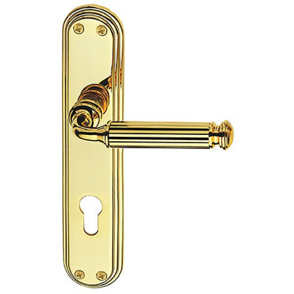 Meteor Classique PFS Pasini Brass Door Handle on Plate