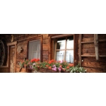 Mosquito Net Bettio Sonia Overall Cassonetto 60mm Traditional Vertical Spring