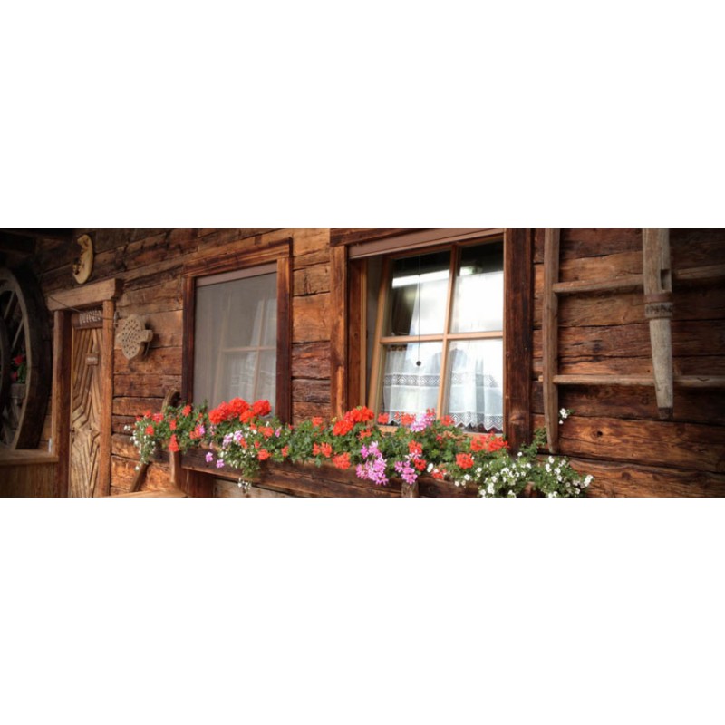 Mosquito Net Bettio Sonia Overall Cassonetto 60mm Traditional Vertical Spring