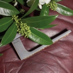 Zen Fusion Door Handle With Rose With Click-Clack Ultra-Rapid Mounting System Linea Calì Design